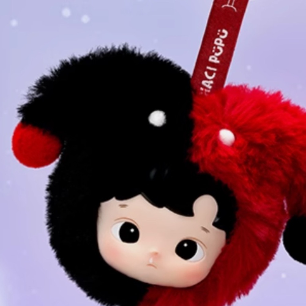 Hacipupu constellation series - Gemini- never opened